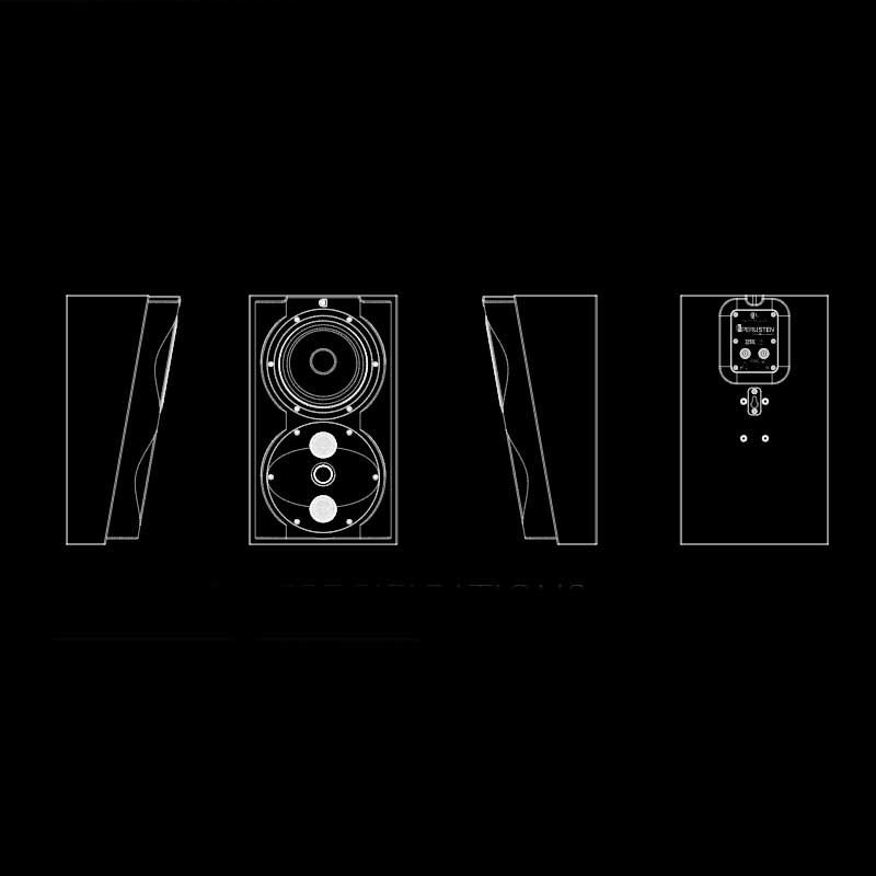 Perlisten S4S - obrazek 7