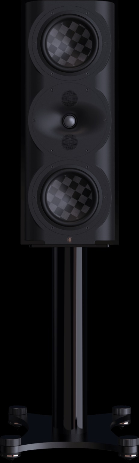 Perlisten S5M - obrazek 7
