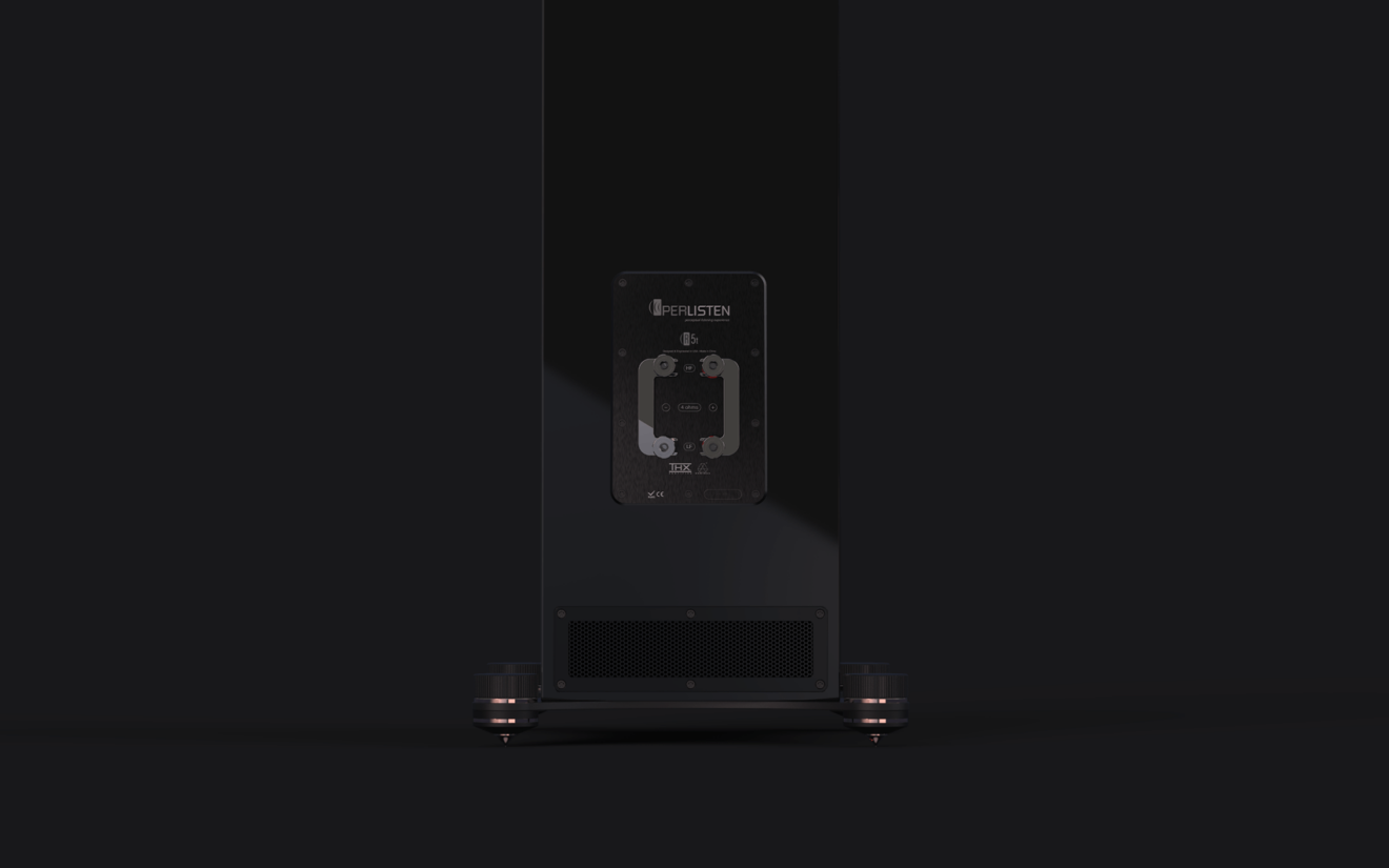 Perlisten R5T - obrazek 4