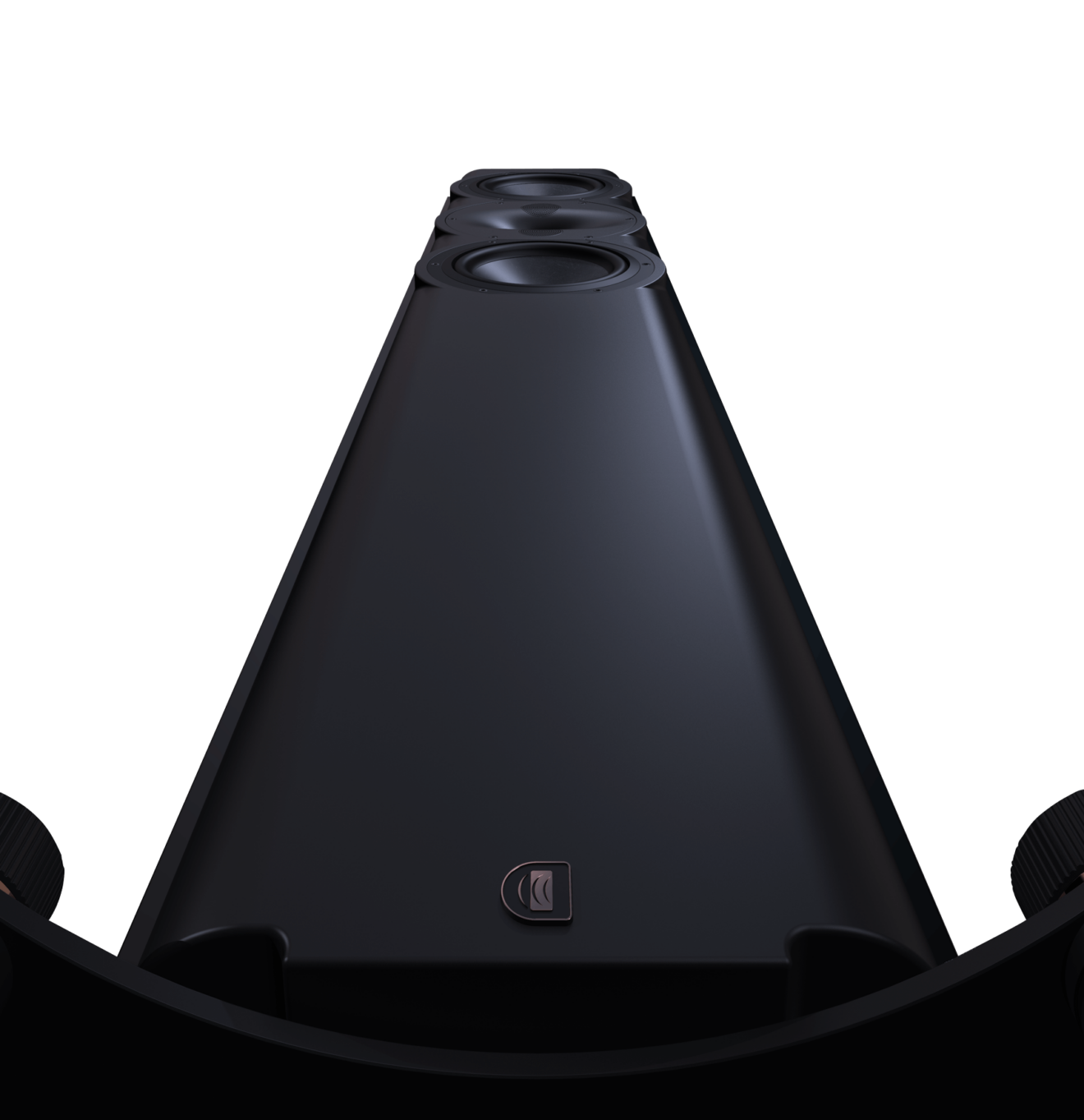 Perlisten R5T - obrazek 3