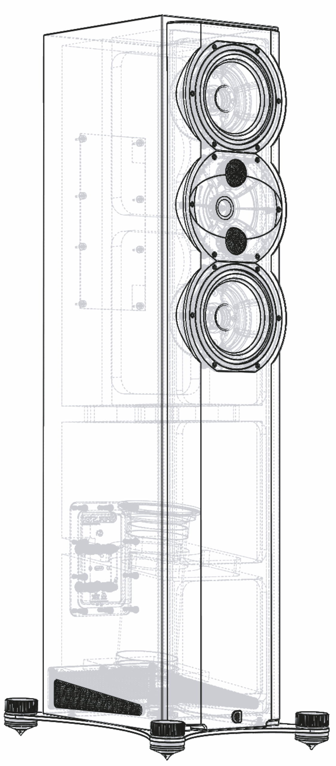 Perlisten R5T - obrazek 8