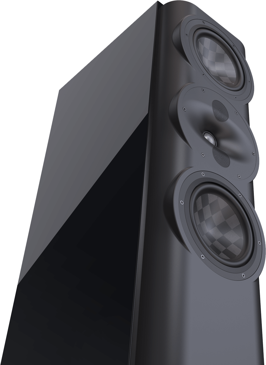 Perlisten S5T - obrazek 3