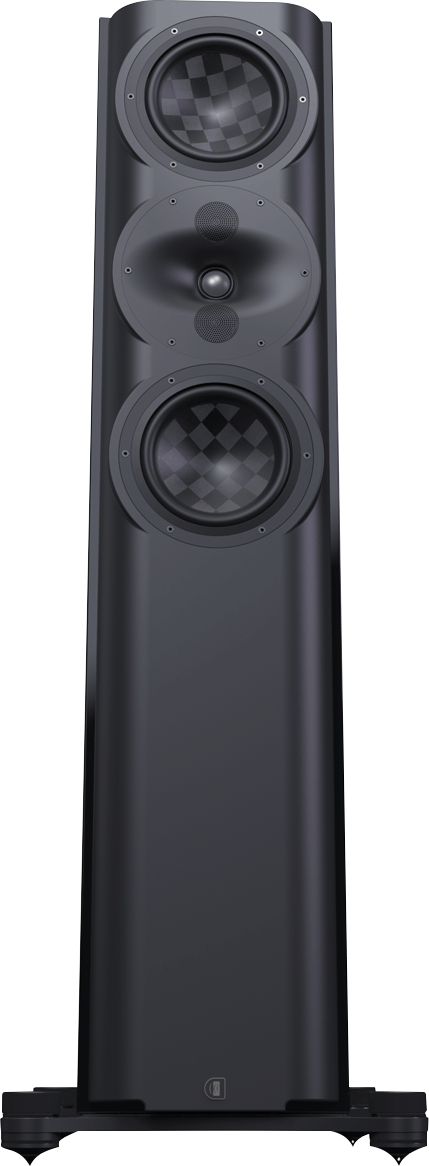 Perlisten S5T - obrazek 2