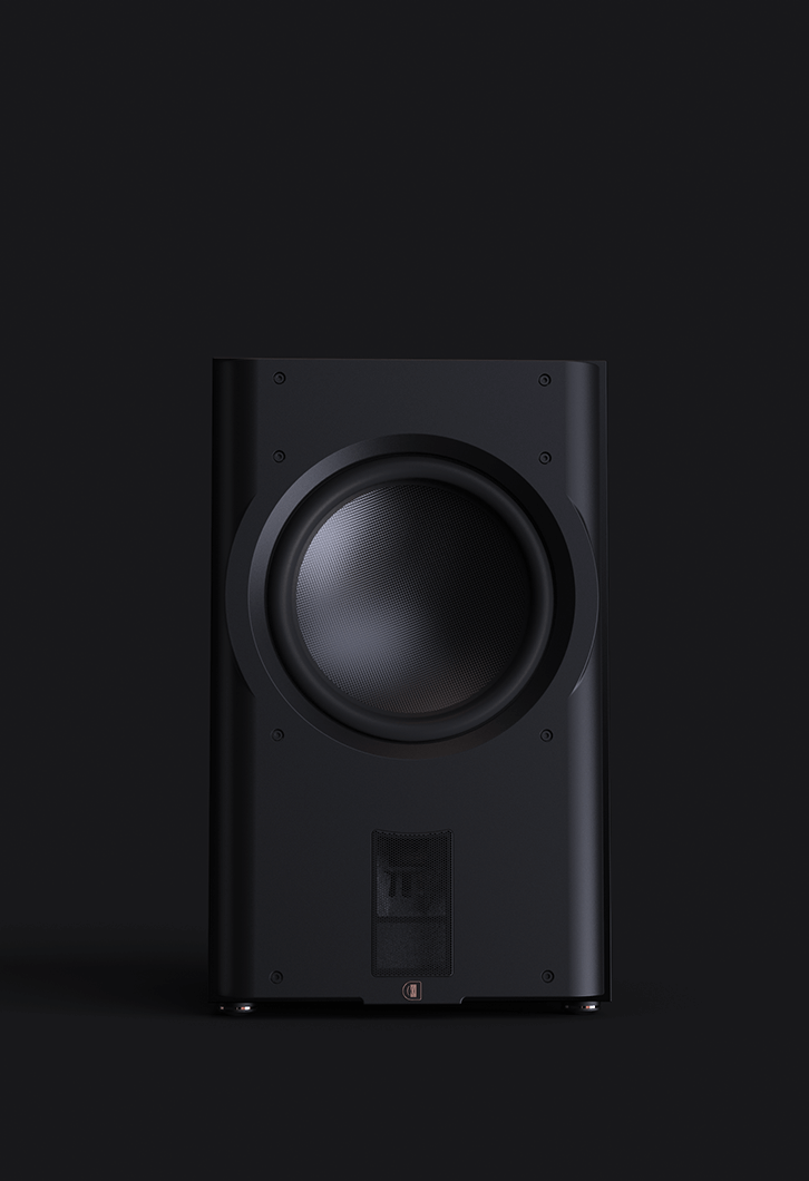 Perlisten D212S - obrazek 4